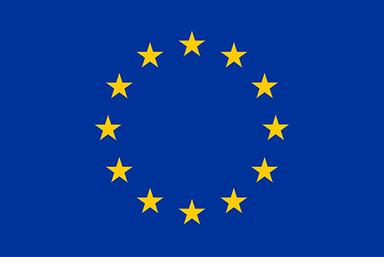 Delegation of the European Union to Nigeria and ECOWAS logo